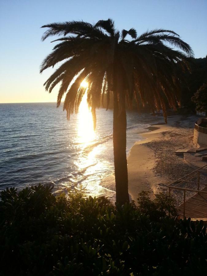 Villa Adriandre Le Le Rayol-Canadel-sur-Mer Luaran gambar
